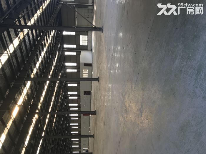 瑞兴路193号，奥斯福厂区招租