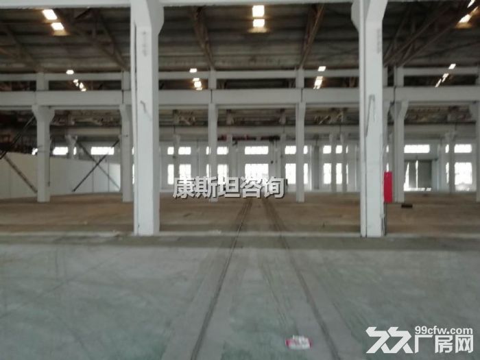 堰桥西漳附近1600平独门独院出售，欢迎来电咨询-图2
