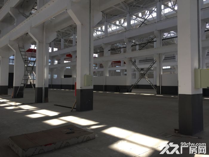 南通海门开发区42000㎡标准单层机械厂房出租-图5