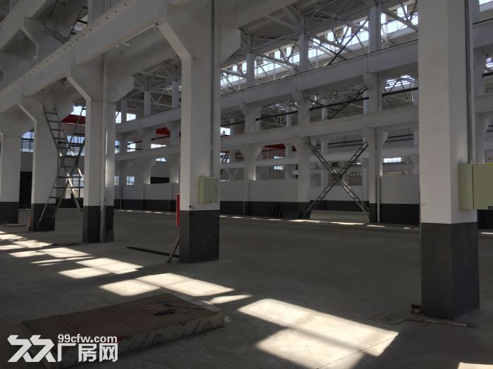 南通海门开发区42000㎡标准单层机械厂房出租-图6