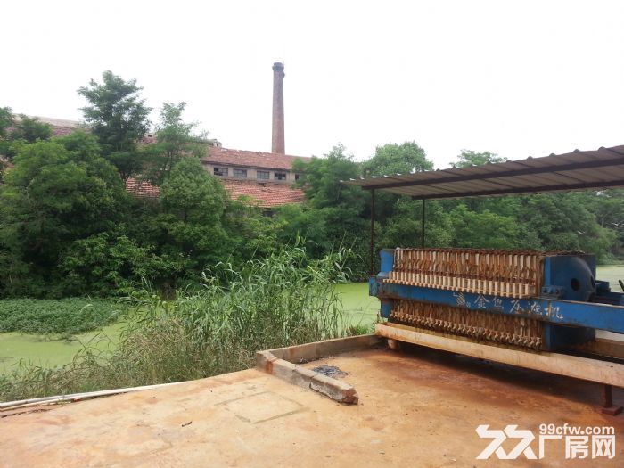 上海周边启东10000平米厂房出租！-图6