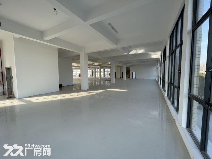 1300超大平层厂房