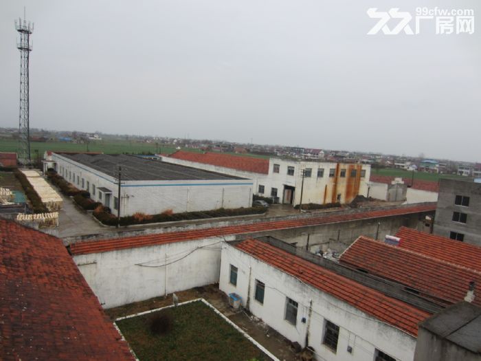 2000平米车间、5000平米猪舍出租或出售-图3