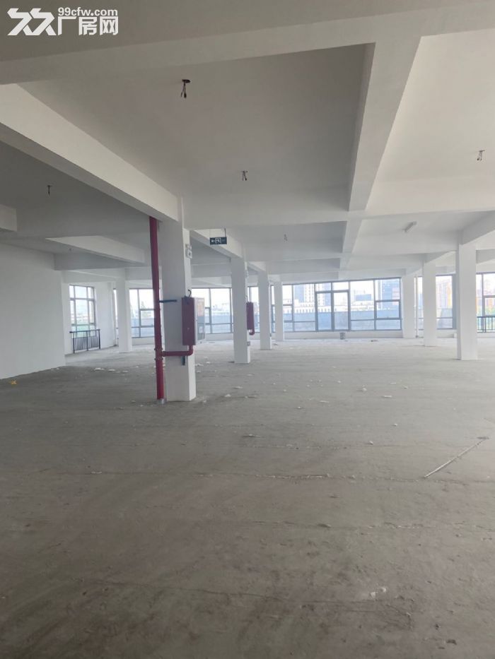 智汇湾全新独栋办公厂房出租，可整租可分割-图6