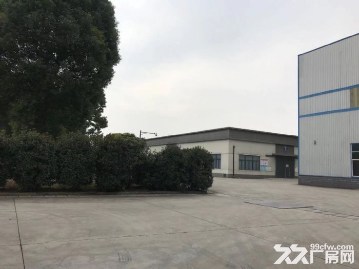 单层独栋带消防喷淋  可分割 沪通高架出口5公里-图4