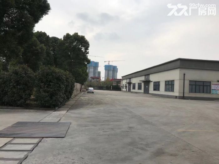 单层独栋带消防喷淋  可分割 沪通高架出口5公里-图2