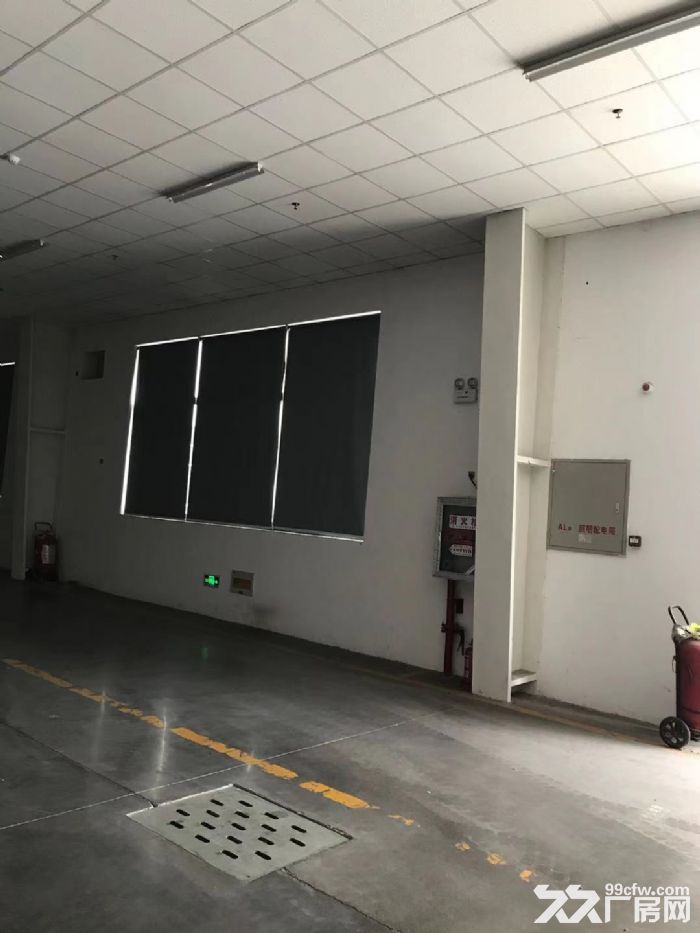 单层独栋带消防喷淋  可分割 沪通高架出口5公里-图3