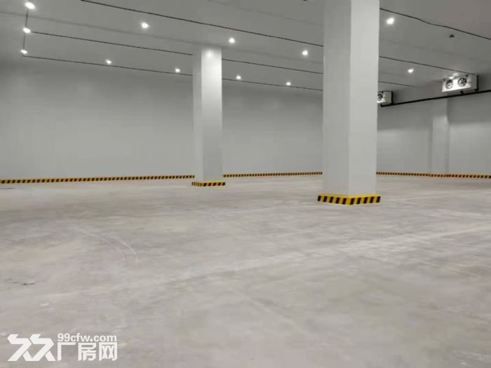 南通 开发区 专业双坡道冷库出租-图4