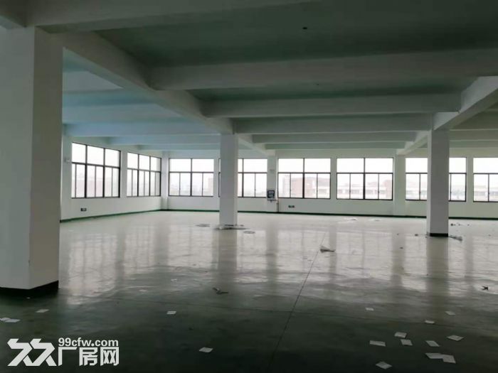 开发区 振兴路 新厂房优惠出租
