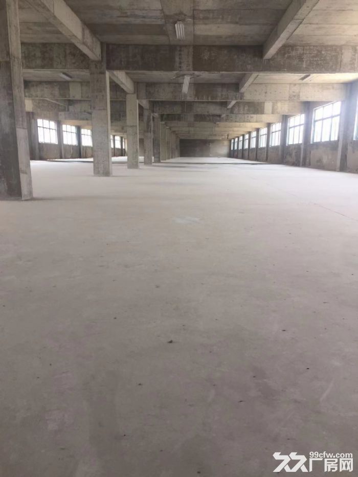 出租（启东市高新技术产业开发区明珠路3号厂房）18000平方出租-图2