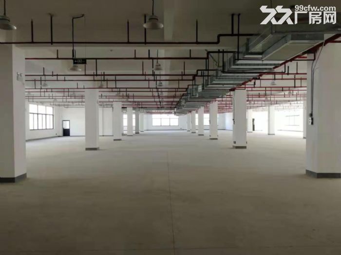 南通开发区 东方大道旁 全新厂房出租-图4